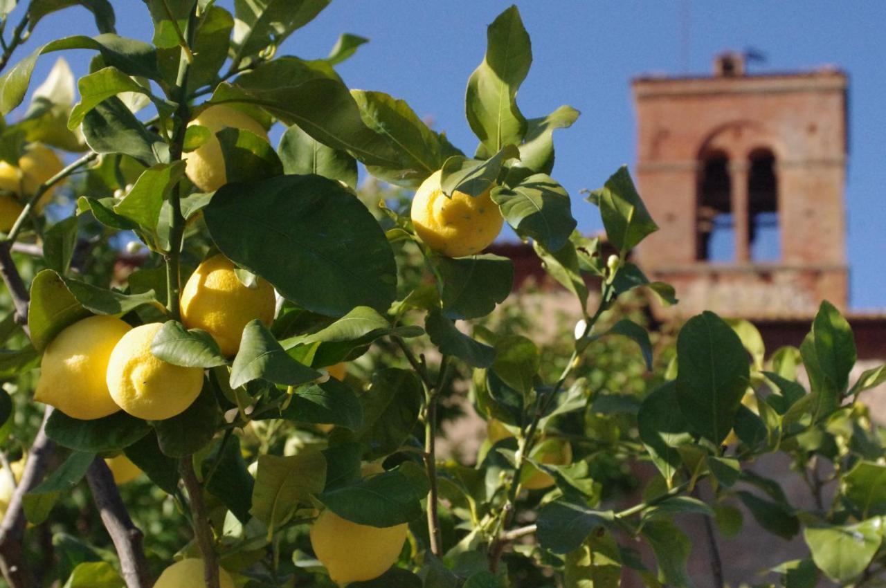 Fattoria Monastero Sant'Anna In Camprena Vila Pienza Exterior foto